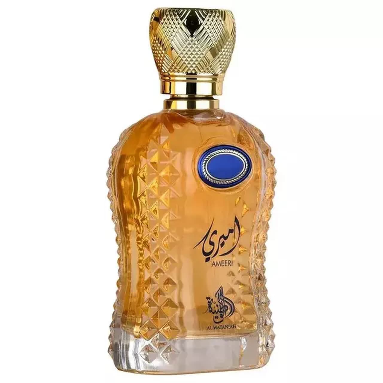 AL WATANIAH AMEERI FOR MEN EAU DE PARFUM 100ML